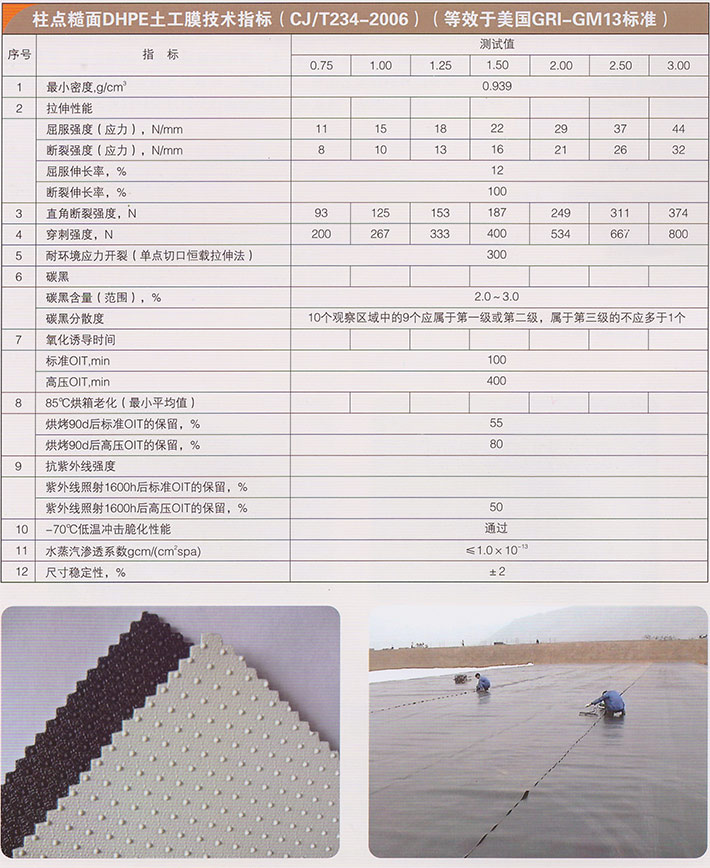 HDPE防滑性柱点糙面土工膜-1.jpg